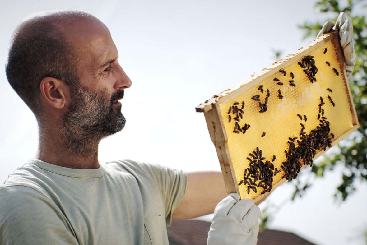 Think! Bee project with beehives – initiative to create biodiversity areas