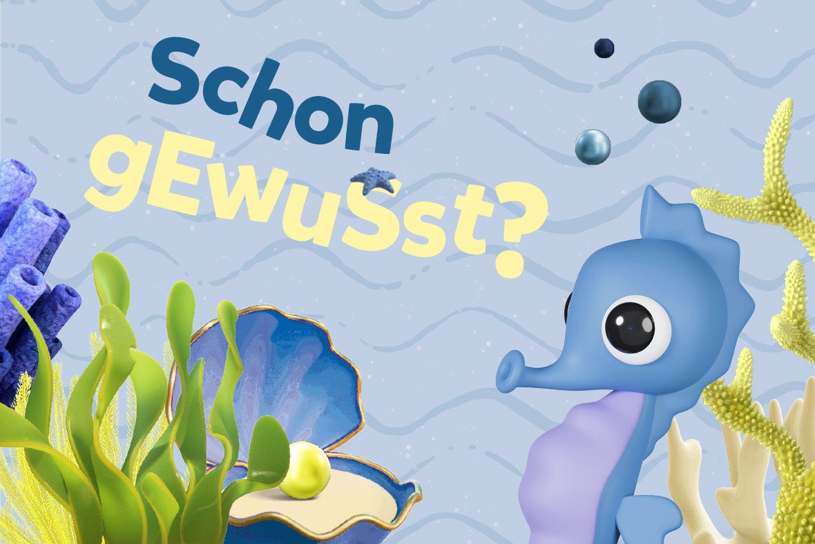 superfit superfriend Funny das Seepferdchen superfit superfriend Funny das Seepferdchen