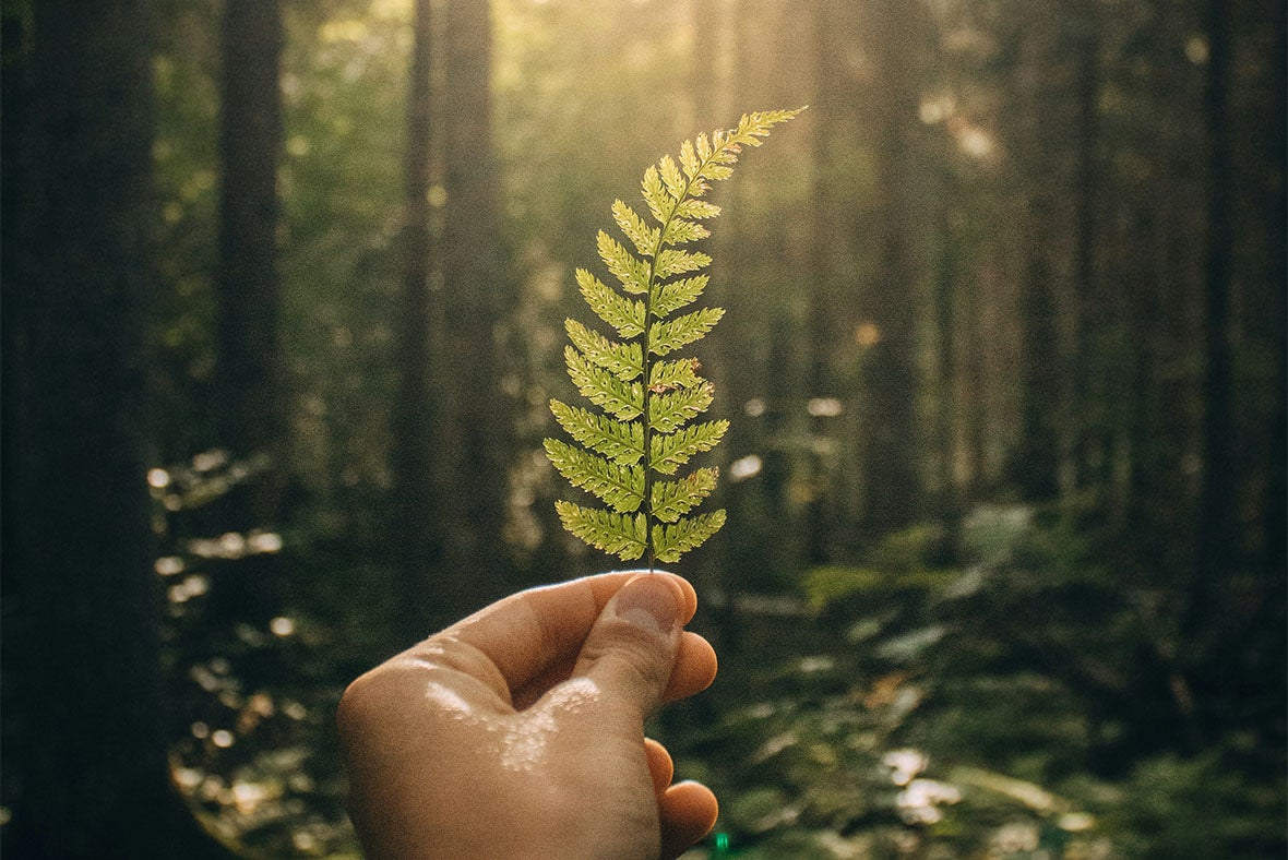 Think! Sustainable shoes for women and men Think! Sustainable shoes for women and men