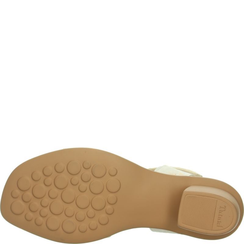 Think VIVI Woman  - Material: Leather in Multi Colour