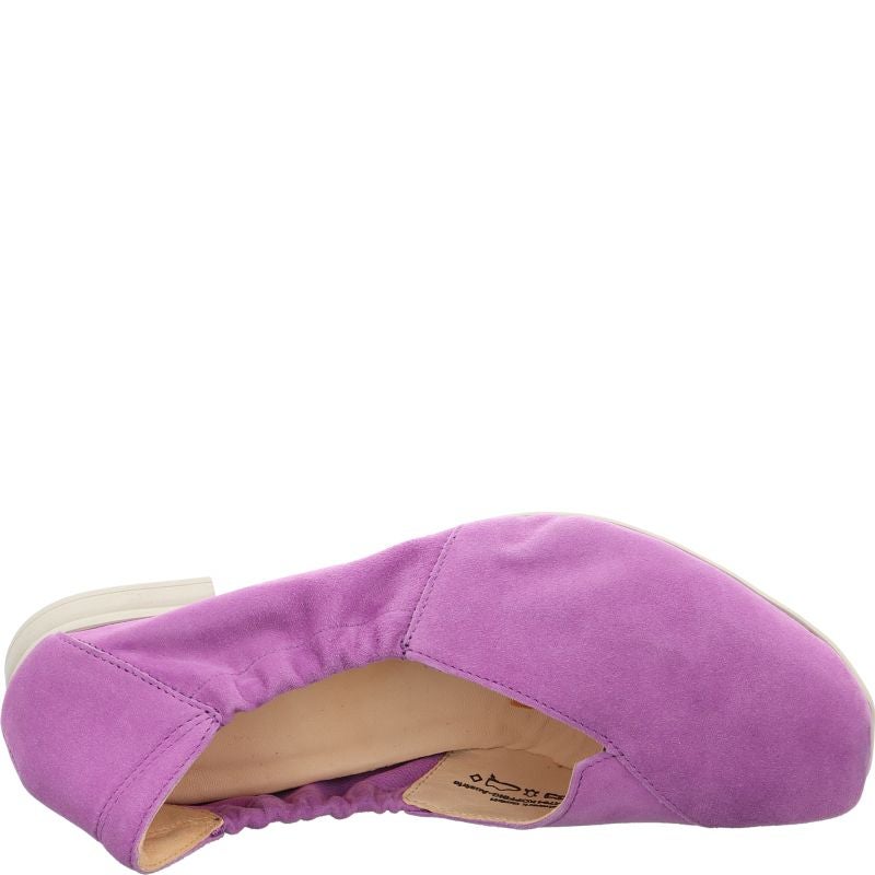 Think GAUDI Woman Ballerina - Material: Leather in Purple