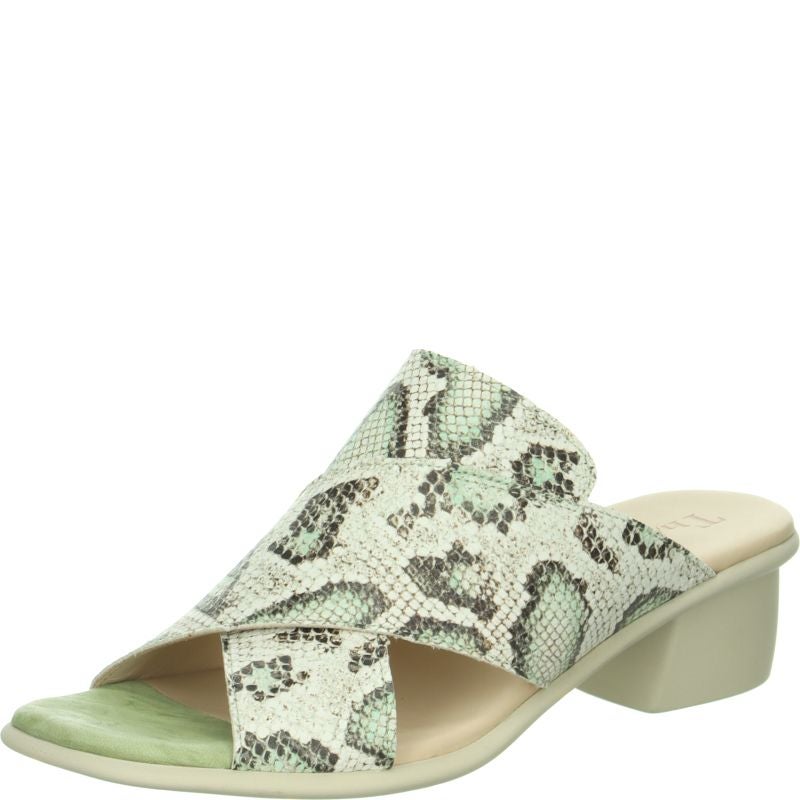 Think VIVI Mules - Material: Leather in Multicolored